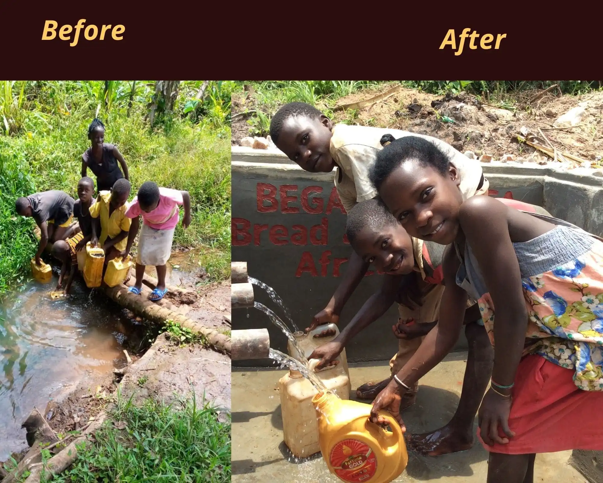 Noble's-group field project